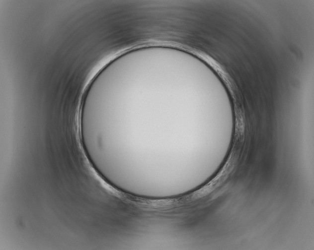 X0000115821294200911131058