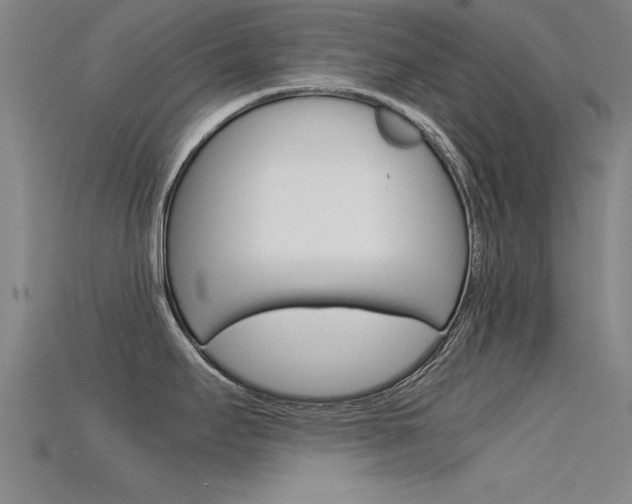 X0000115821295200911131058