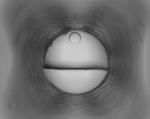 X0000115821297200911131057