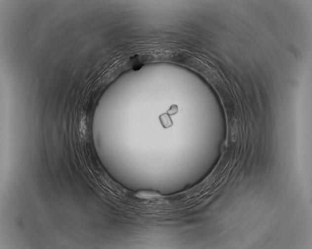 X0000115821298200911131057