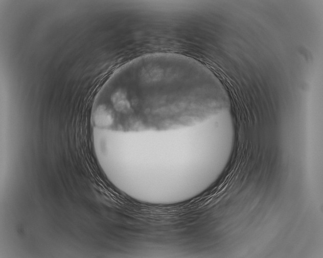 X0000115821299200911131057