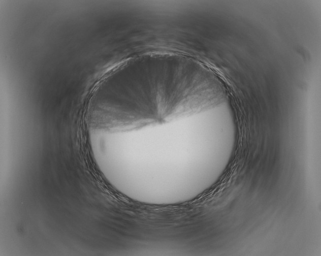 X0000115821303200911131057