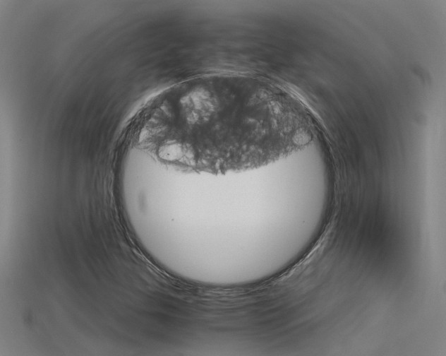 X0000115821307200911131058