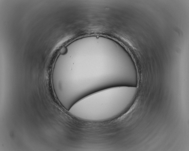 X0000115821309200911131058