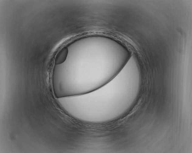 X0000115821310200911131058