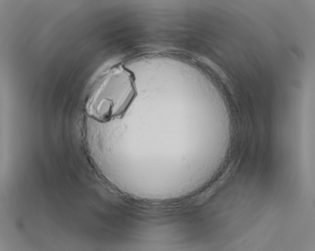 X0000115821314200911131058