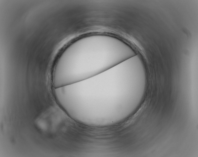 X0000115821318200911131058
