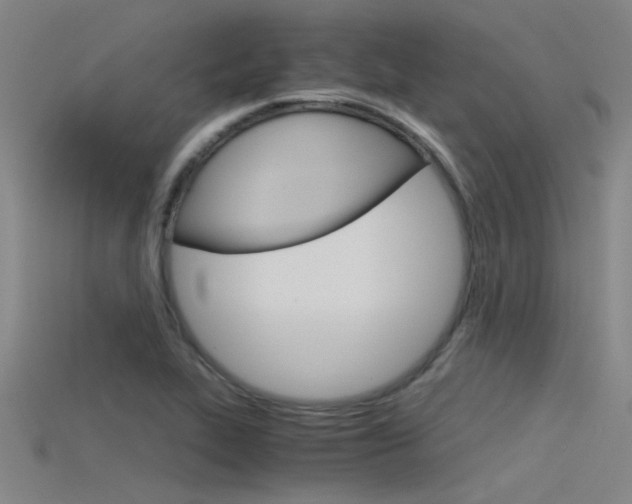 X0000115821319200911131058