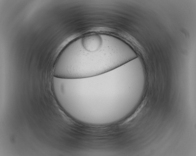 X0000115821321200911131058