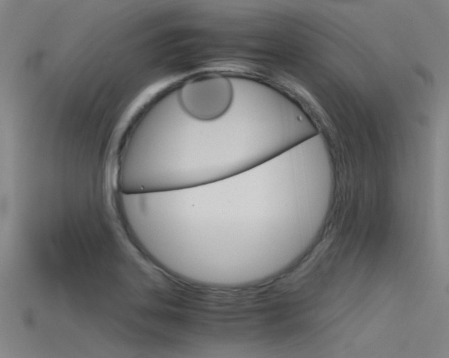 X0000115821323200911131058