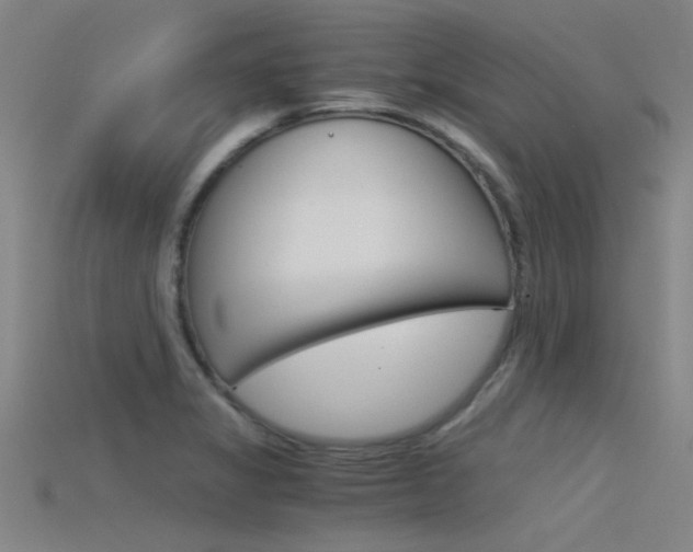 X0000115821325200911131058