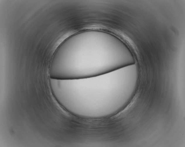 X0000115821329200911131058