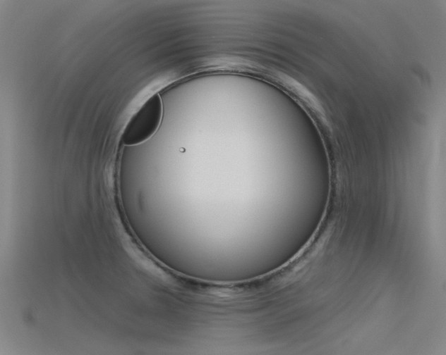 X0000115821330200911131058