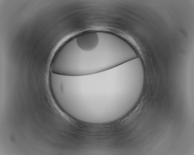 X0000115821331200911131058