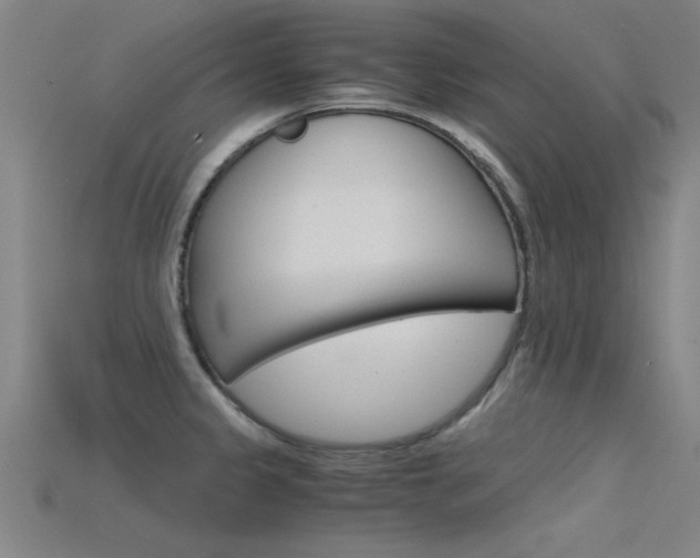 X0000115821333200911131058