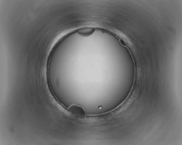 X0000115821334200911131058