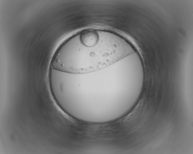 X0000115821335200911131058