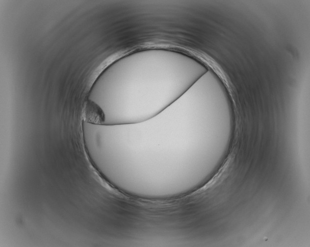 X0000115821337200911131058