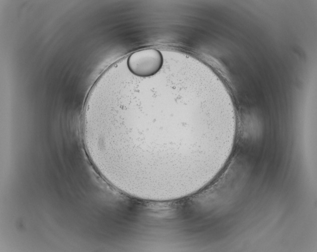 X0000115821338200911131058