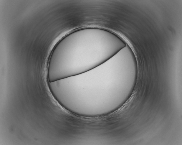 X0000115821341200911131058
