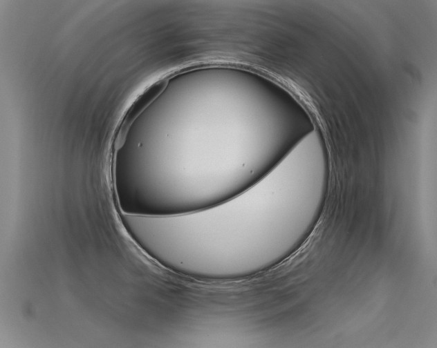 X0000115821342200911131058