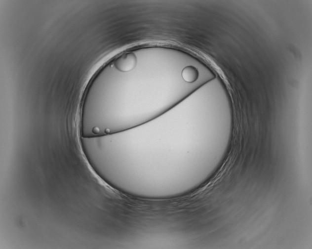 X0000115821343200911131058