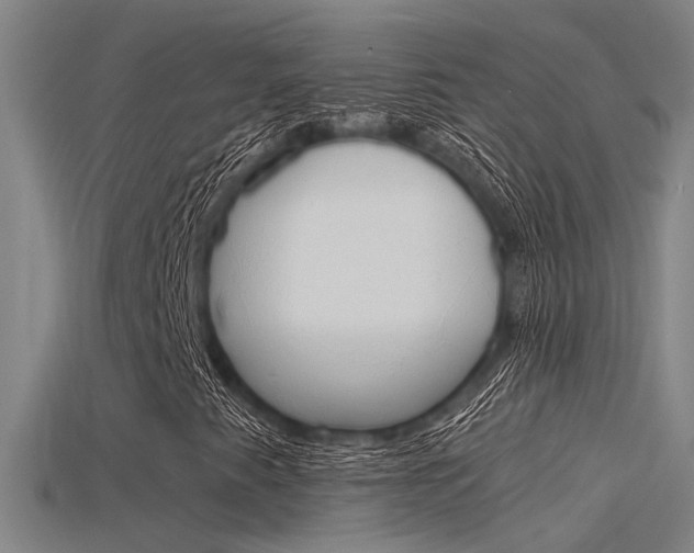 X0000115821345200911131057