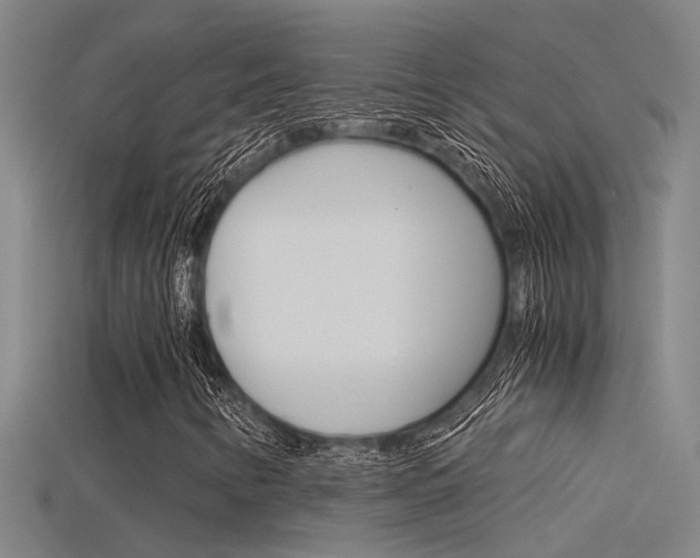 X0000115821346200911131057
