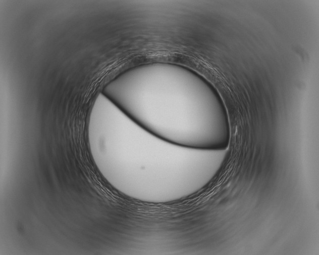 X0000115821348200911131057