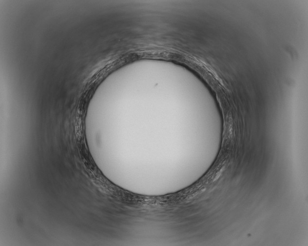 X0000115821350200911131057