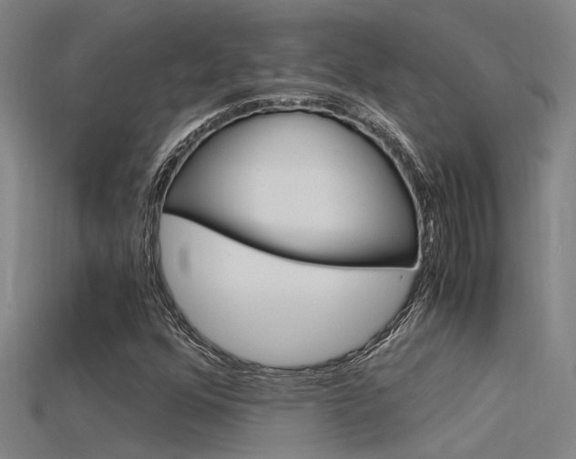 X0000115821352200911131057