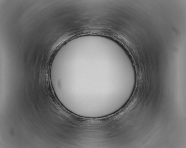 X0000115821354200911131057