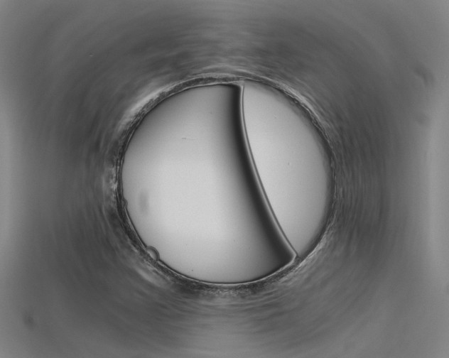 X0000115821355200911131057