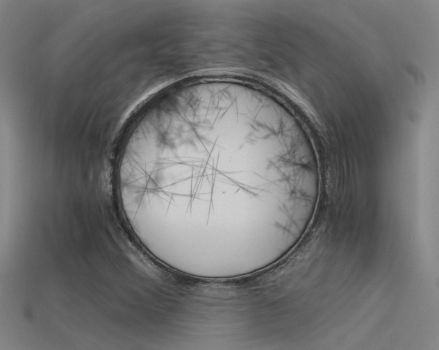 X0000115821356200911131057