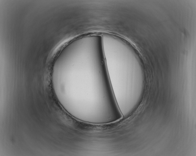 X0000115821359200911131057