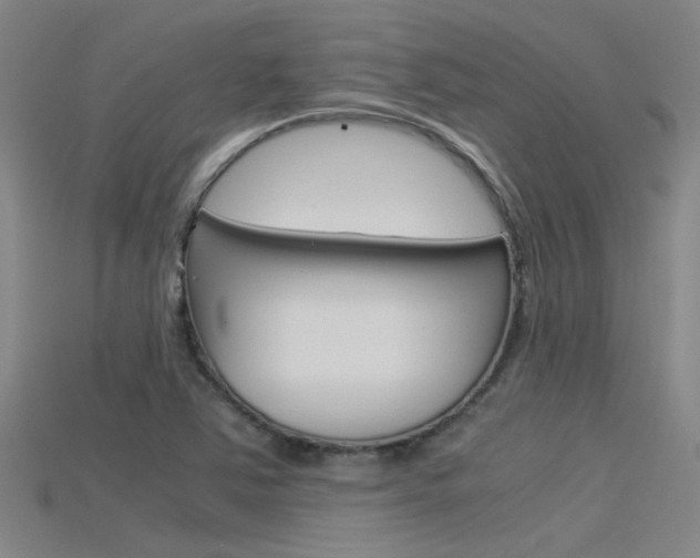 X0000115821363200911131057