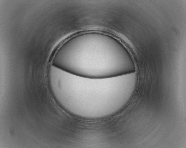 X0000115821364200911131057