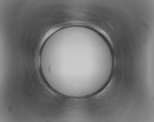 X0000115821365200911131057