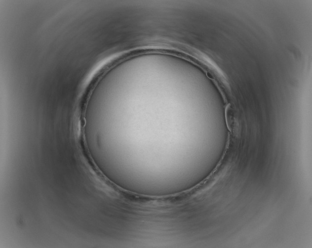 X0000115821368200911131057