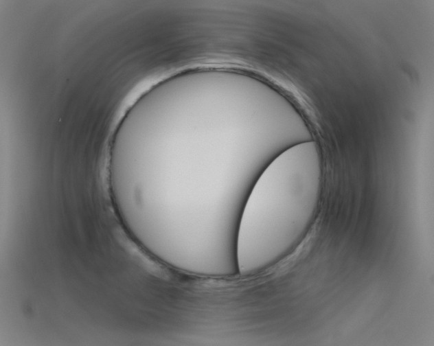 X0000115821374200911131057