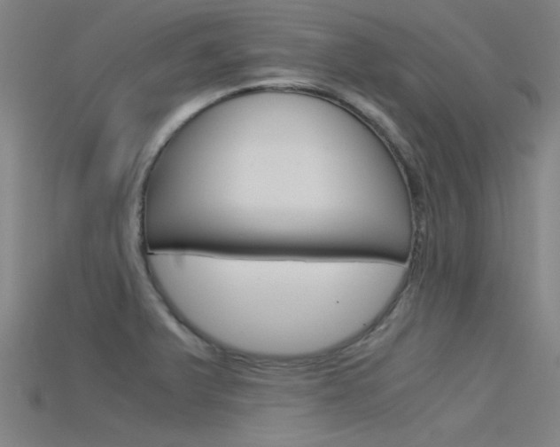 X0000115821375200911131057