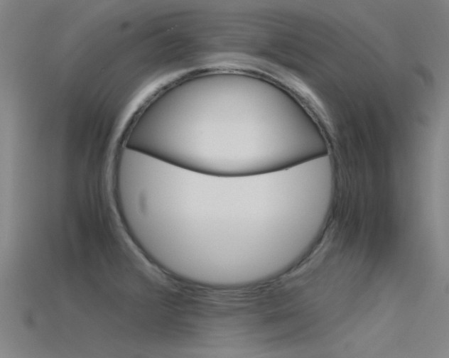 X0000115821376200911131057
