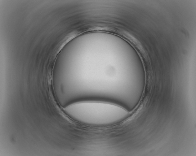 X0000115821377200911131057