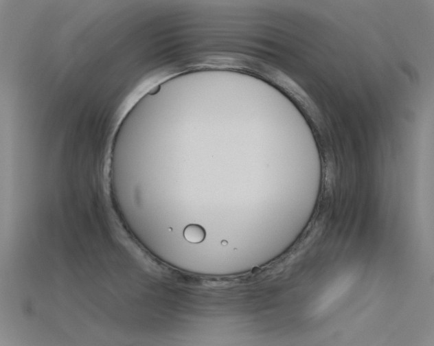 X0000115821378200911131057