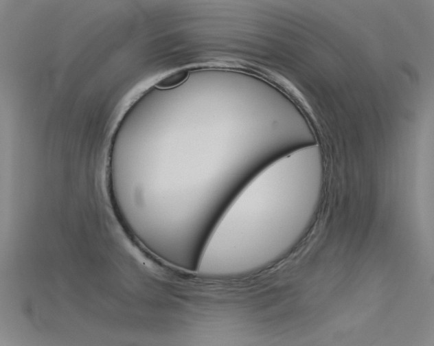 X0000115821379200911131057