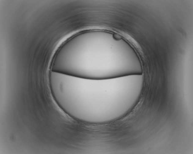 X0000115821380200911131057