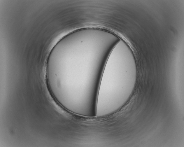 X0000115821383200911131057