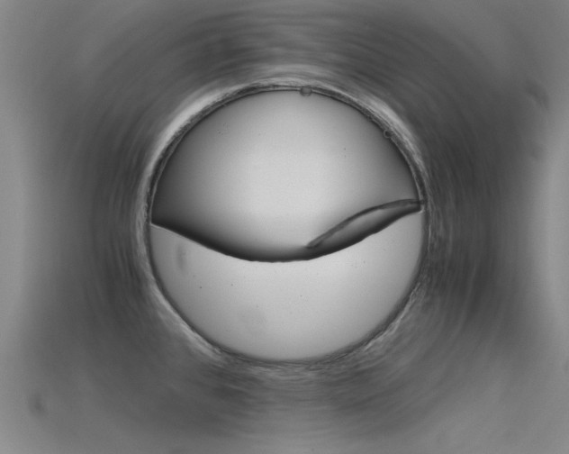 X0000115821384200911131057