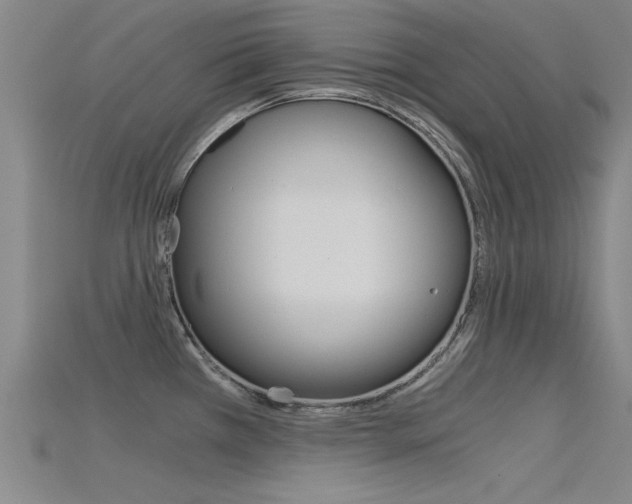 X0000115821385200911131057