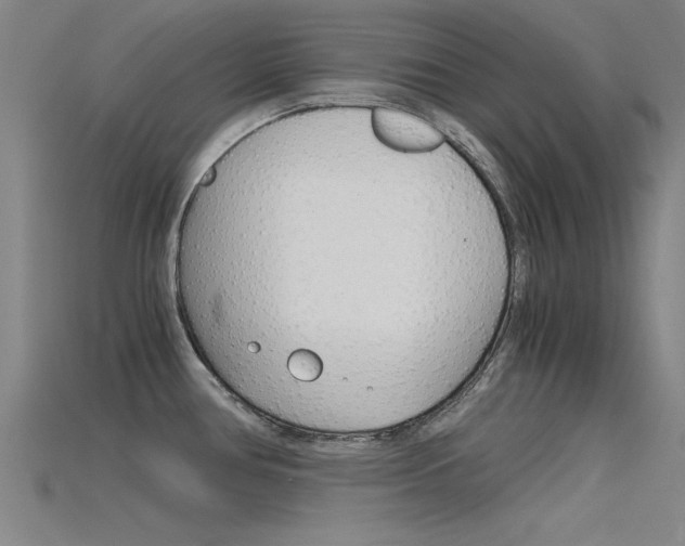 X0000115821386200911131057